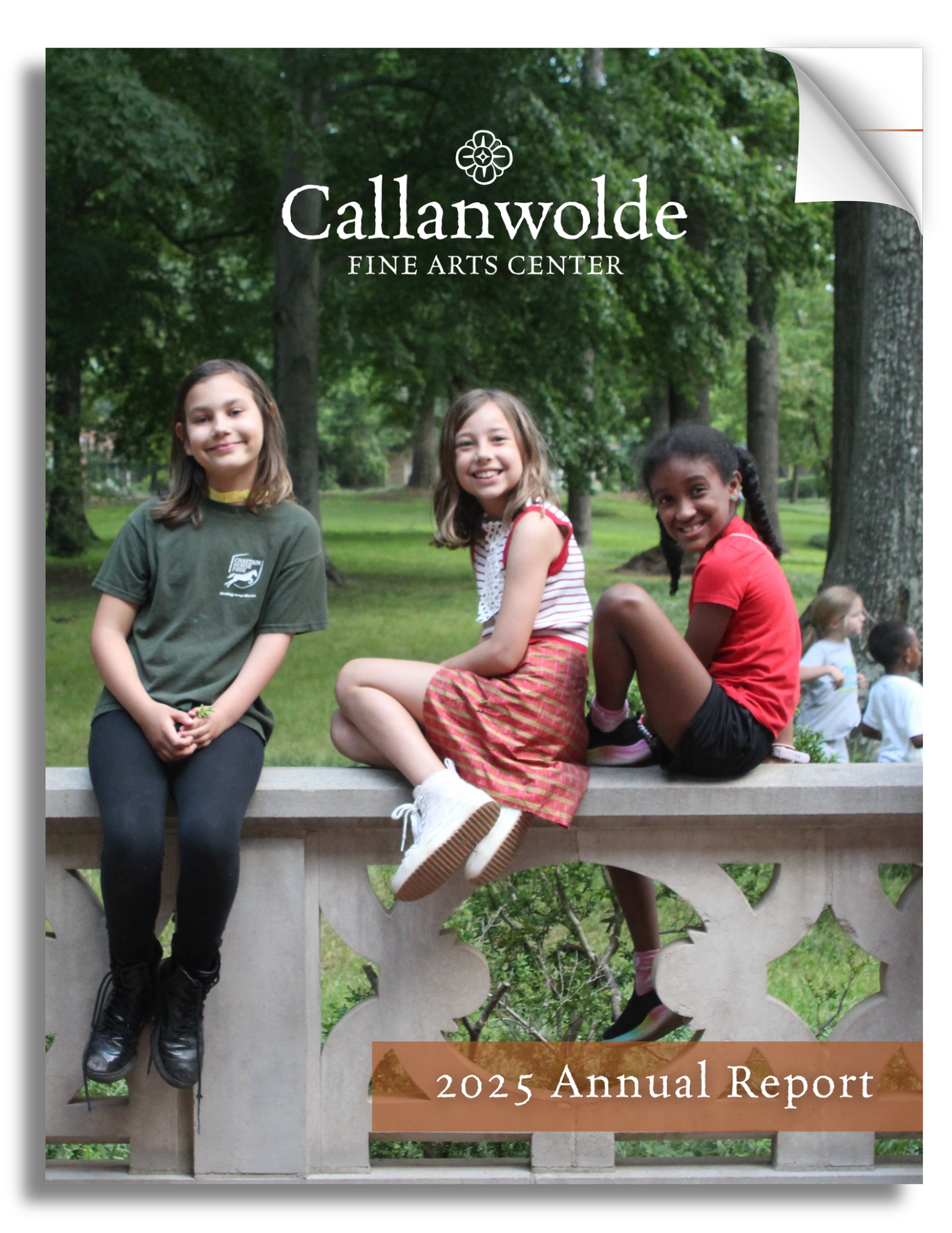 Annual Report Cover 2025 3D Mockup
